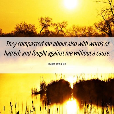 Picture 06 - Psalms 109:3 KJV - They compassed me about also with words of - Bible Verse Picture