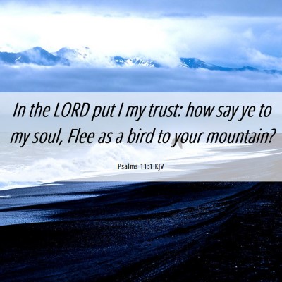 Picture 06 - Psalms 11:1 KJV - In the LORD put I my trust: how say ye to my - Bible Verse Picture