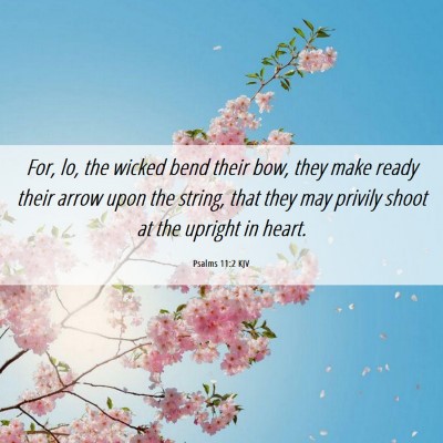 Picture 06 - Psalms 11:2 KJV - For, lo, the wicked bend their bow, they make - Bible Verse Picture