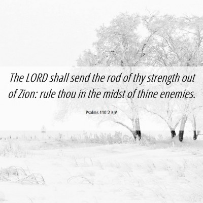 Picture 06 - Psalms 110:2 KJV - The LORD shall send the rod of thy strength out - Bible Verse Picture