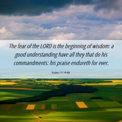Picture 06 - Psalms 111:10 KJV - The fear of the LORD is the beginning of wisdom: - Bible Verse Picture