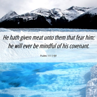 Picture 06 - Psalms 111:5 KJV - He hath given meat unto them that fear him: he - Bible Verse Picture