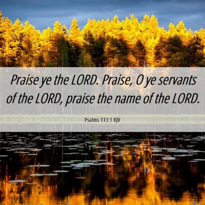 Picture 06 - Psalms 113:1 KJV - Praise ye the LORD. Praise, O ye servants of the - Bible Verse Picture