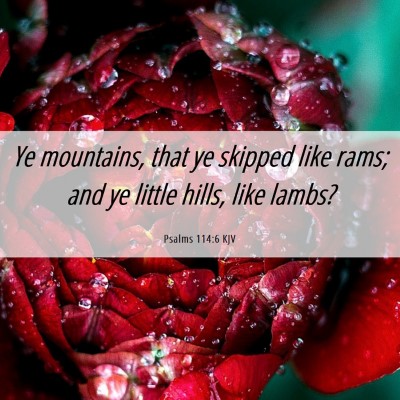 Picture 06 - Psalms 114:6 KJV - Ye mountains, that ye skipped like rams; and ye - Bible Verse Picture