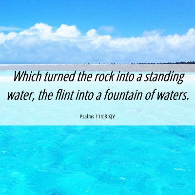 Picture 06 - Psalms 114:8 KJV - Which turned the rock into a standing water, the - Bible Verse Picture