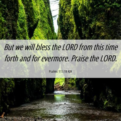 Picture 06 - Psalms 115:18 KJV - But we will bless the LORD from this time forth - Bible Verse Picture