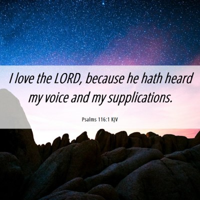 Picture 06 - Psalms 116:1 KJV - I love the LORD, because he hath heard my voice - Bible Verse Picture