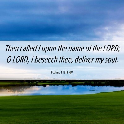 Picture 06 - Psalms 116:4 KJV - Then called I upon the name of the LORD; O LORD, - Bible Verse Picture