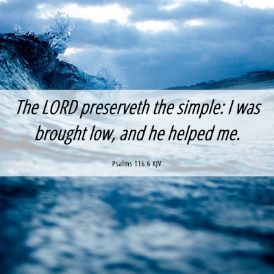 Picture 06 - Psalms 116:6 KJV - The LORD preserveth the simple: I was brought - Bible Verse Picture