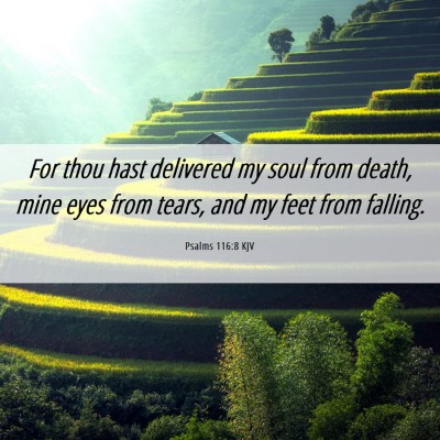 Picture 06 - Psalms 116:8 KJV - For thou hast delivered my soul from death, mine - Bible Verse Picture