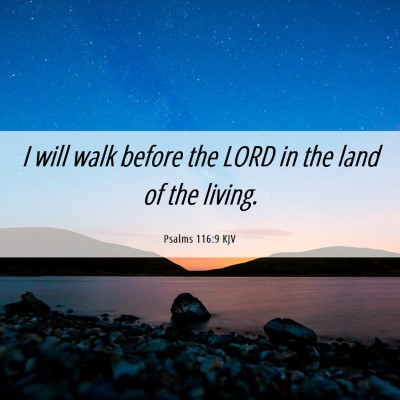 Picture 06 - Psalms 116:9 KJV - I will walk before the LORD in the land of the - Bible Verse Picture