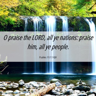 Picture 06 - Psalms 117:1 KJV - O praise the LORD, all ye nations: praise him, - Bible Verse Picture