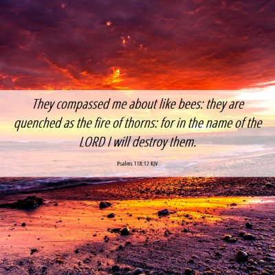 Picture 06 - Psalms 118:12 KJV - They compassed me about like bees: they are - Bible Verse Picture