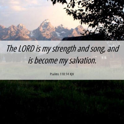 Picture 06 - Psalms 118:14 KJV - The LORD is my strength and song, and is become - Bible Verse Picture