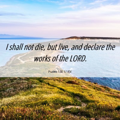 Picture 06 - Psalms 118:17 KJV - I shall not die, but live, and declare the works - Bible Verse Picture
