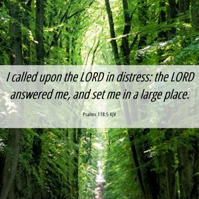 Picture 06 - Psalms 118:5 KJV - I called upon the LORD in distress: the LORD - Bible Verse Picture