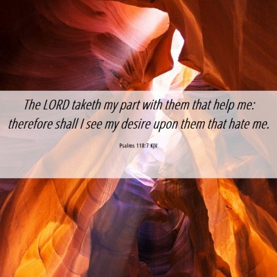 Picture 06 - Psalms 118:7 KJV - The LORD taketh my part with them that help me: - Bible Verse Picture