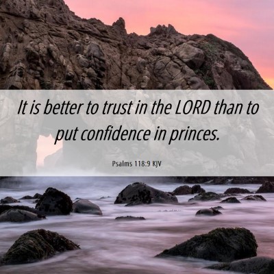 Picture 06 - Psalms 118:9 KJV - It is better to trust in the LORD than to put - Bible Verse Picture