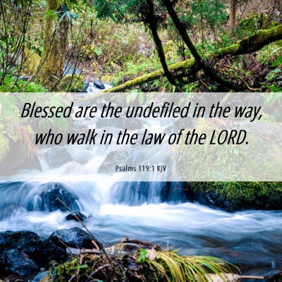 Picture 06 - Psalms 119:1 KJV - Blessed are the undefiled in the way, who walk in - Bible Verse Picture