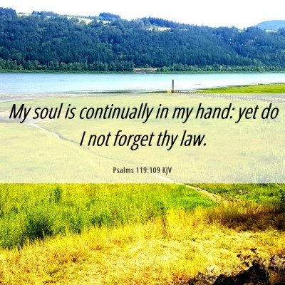 Picture 06 - Psalms 119:109 KJV - My soul is continually in my hand: yet do I not - Bible Verse Picture