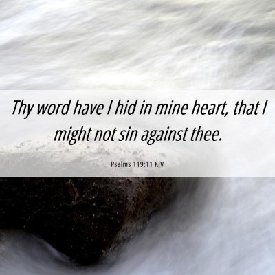 Picture 06 - Psalms 119:11 KJV - Thy word have I hid in mine heart, that I might - Bible Verse Picture