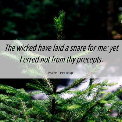 Picture 06 - Psalms 119:110 KJV - The wicked have laid a snare for me: yet I erred - Bible Verse Picture