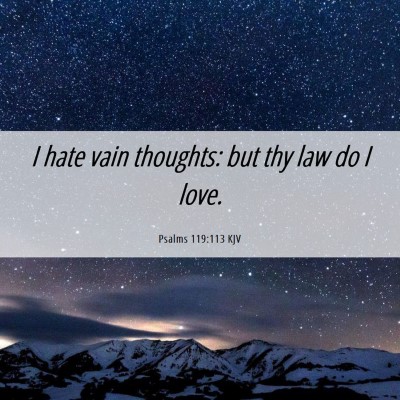 Picture 06 - Psalms 119:113 KJV - I hate vain thoughts: but thy law do I - Bible Verse Picture