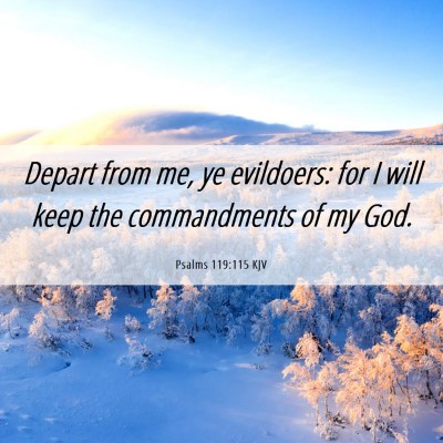 Picture 06 - Psalms 119:115 KJV - Depart from me, ye evildoers: for I will keep the - Bible Verse Picture