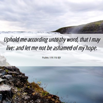 Picture 06 - Psalms 119:116 KJV - Uphold me according unto thy word, that I may - Bible Verse Picture