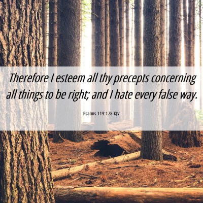 Picture 06 - Psalms 119:128 KJV - Therefore I esteem all thy precepts concerning - Bible Verse Picture