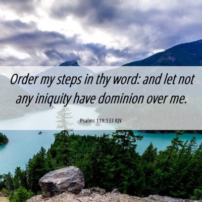 Picture 06 - Psalms 119:133 KJV - Order my steps in thy word: and let not any - Bible Verse Picture