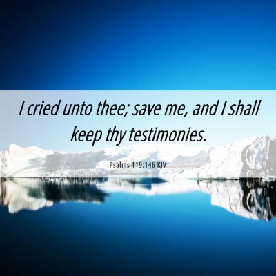 Picture 06 - Psalms 119:146 KJV - I cried unto thee; save me, and I shall keep thy - Bible Verse Picture