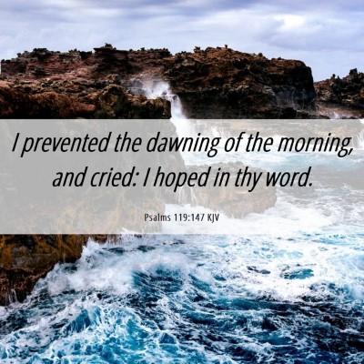 Picture 06 - Psalms 119:147 KJV - I prevented the dawning of the morning, and - Bible Verse Picture