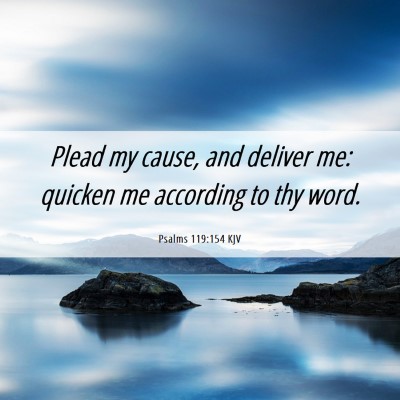 Picture 06 - Psalms 119:154 KJV - Plead my cause, and deliver me: quicken me - Bible Verse Picture