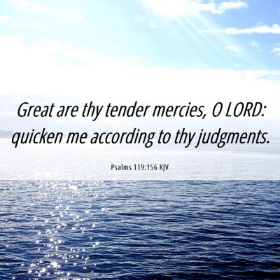 Picture 06 - Psalms 119:156 KJV - Great are thy tender mercies, O LORD: quicken me - Bible Verse Picture