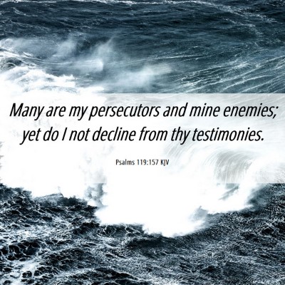 Picture 06 - Psalms 119:157 KJV - Many are my persecutors and mine enemies; yet do - Bible Verse Picture