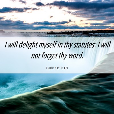 Picture 06 - Psalms 119:16 KJV - I will delight myself in thy statutes: I will not - Bible Verse Picture
