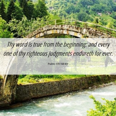 Picture 06 - Psalms 119:160 KJV - Thy word is true from the beginning: and every - Bible Verse Picture