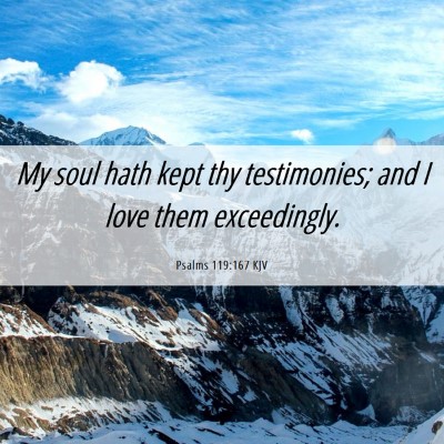 Picture 06 - Psalms 119:167 KJV - My soul hath kept thy testimonies; and I love - Bible Verse Picture