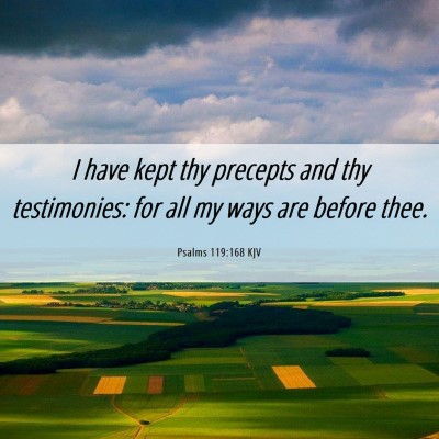 Picture 06 - Psalms 119:168 KJV - I have kept thy precepts and thy testimonies: for - Bible Verse Picture