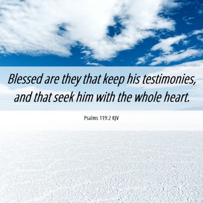 Picture 06 - Psalms 119:2 KJV - Blessed are they that keep his testimonies, and - Bible Verse Picture