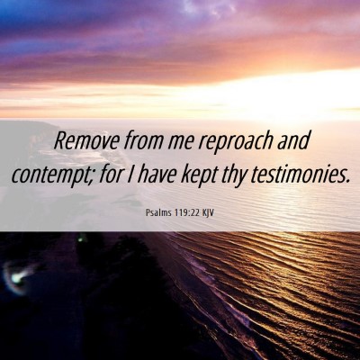 Picture 06 - Psalms 119:22 KJV - Remove from me reproach and contempt; for I have - Bible Verse Picture