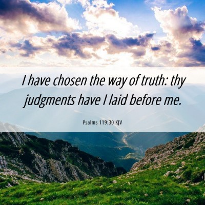 Picture 06 - Psalms 119:30 KJV - I have chosen the way of truth: thy judgments - Bible Verse Picture
