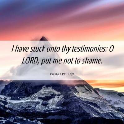 Picture 06 - Psalms 119:31 KJV - I have stuck unto thy testimonies: O LORD, put me - Bible Verse Picture