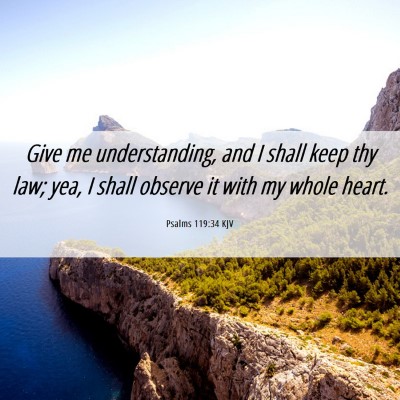 Picture 06 - Psalms 119:34 KJV - Give me understanding, and I shall keep thy law; - Bible Verse Picture