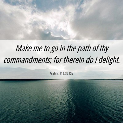 Picture 06 - Psalms 119:35 KJV - Make me to go in the path of thy commandments; - Bible Verse Picture