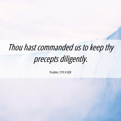 Picture 06 - Psalms 119:4 KJV - Thou hast commanded us to keep thy precepts - Bible Verse Picture