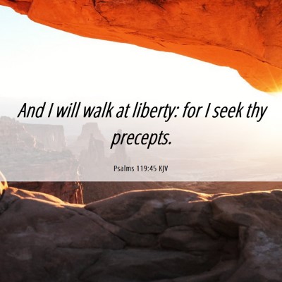 Picture 06 - Psalms 119:45 KJV - And I will walk at liberty: for I seek thy - Bible Verse Picture