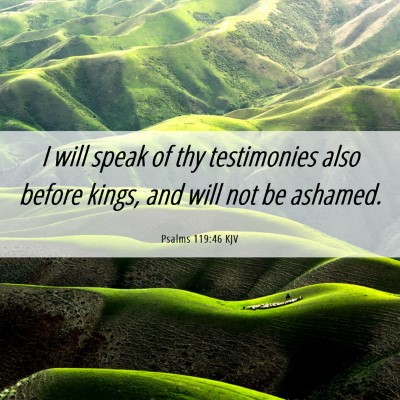 Picture 06 - Psalms 119:46 KJV - I will speak of thy testimonies also before - Bible Verse Picture
