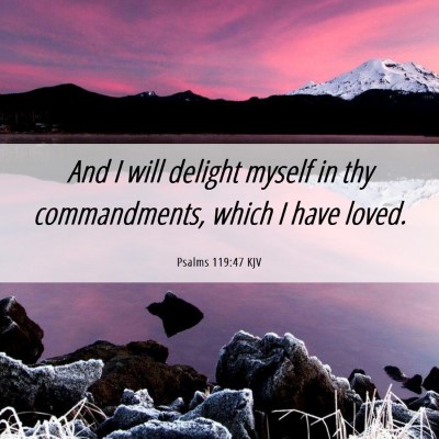 Picture 06 - Psalms 119:47 KJV - And I will delight myself in thy commandments, - Bible Verse Picture